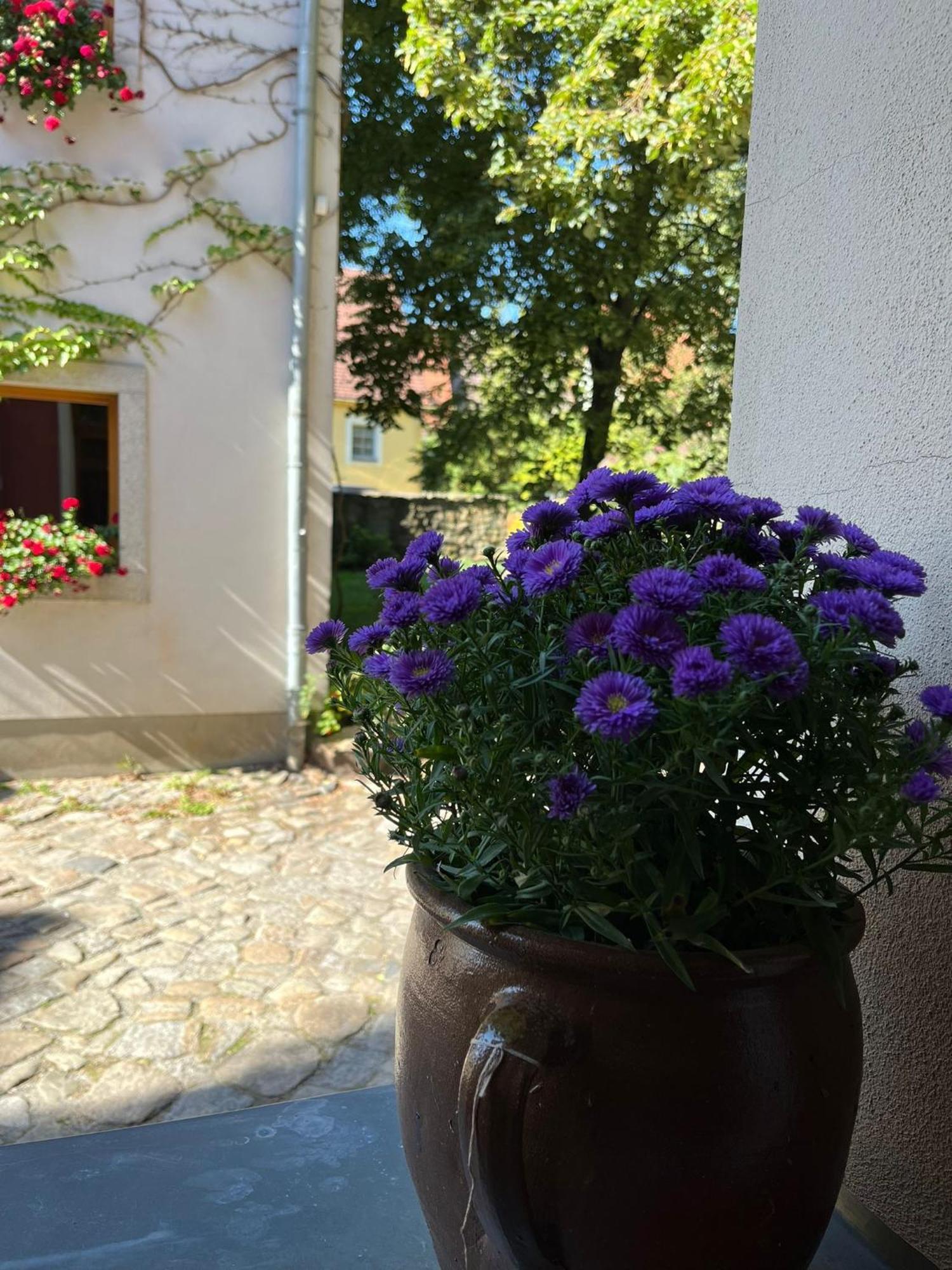 Appartement 5 Predigergasse Bautzen Bagian luar foto