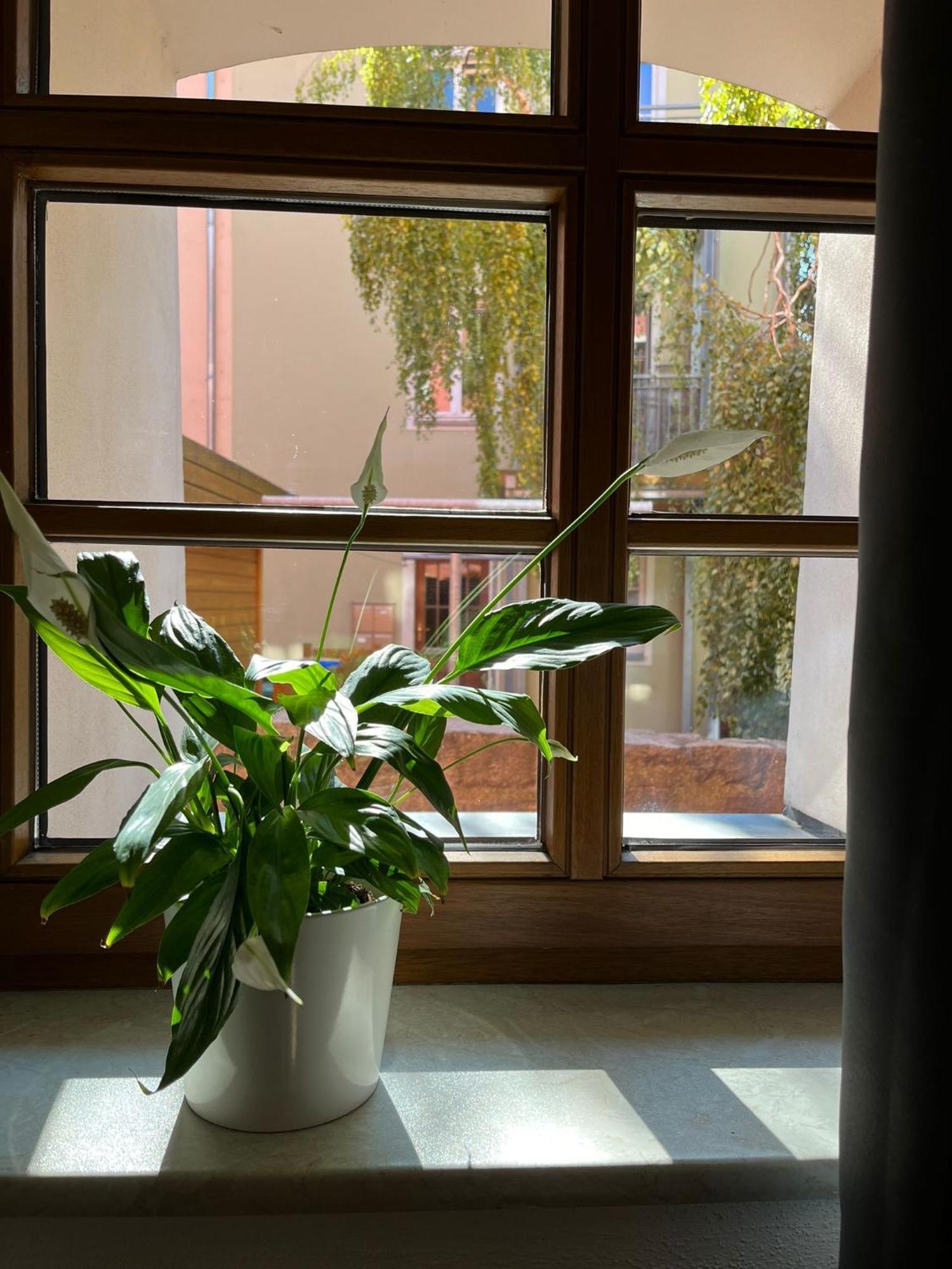 Appartement 5 Predigergasse Bautzen Bagian luar foto